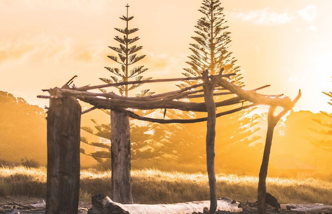 Island View Holiday Park - Foto 50