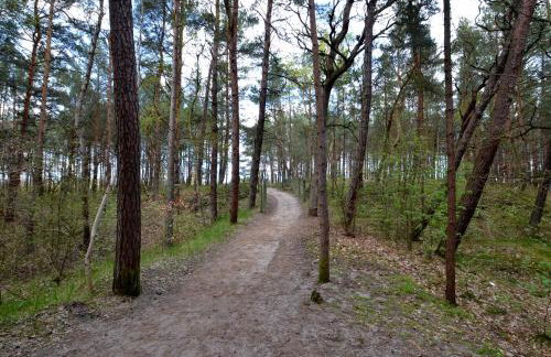 Pensjonat Ślepowron - Foto 45