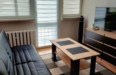 Apartament 59 , ranczoturystyka Bielawa Sudety - Foto 8