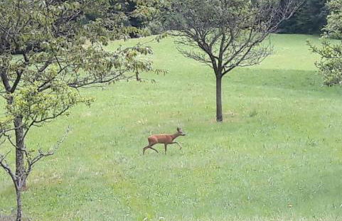 LE GITE DE BRI - Foto 7
