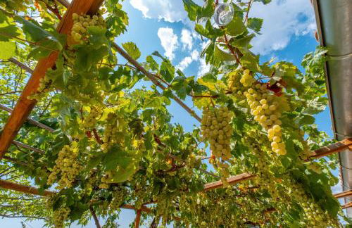 Casa Lluna - Photo 22