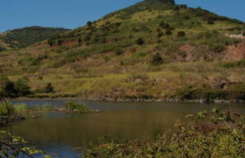 Nature life - Foto 20