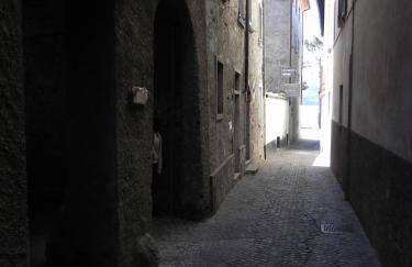 LITTLE FLOWER - Foto 63