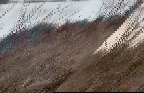 Agriturismo Quietovivere - Foto 18