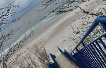 Storchenwiese Wald Meer Natur - Foto 24