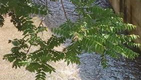 Il risveglio sul Giano - Foto 4