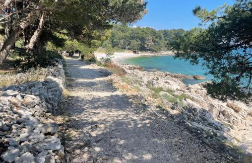 Luxury Seaside Villa with a classic Mediterranean Olive Garden, a fully equipped Professional Kitchen, Pool, Sauna, Padle Boards and Canoe - Miolin Beach House - Photo 73