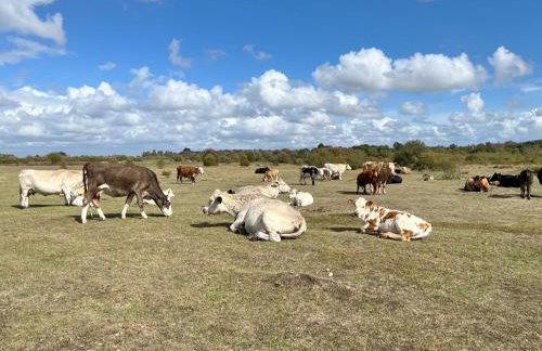 3-bedroom cottage set in a large enclosed garden - Foto 28