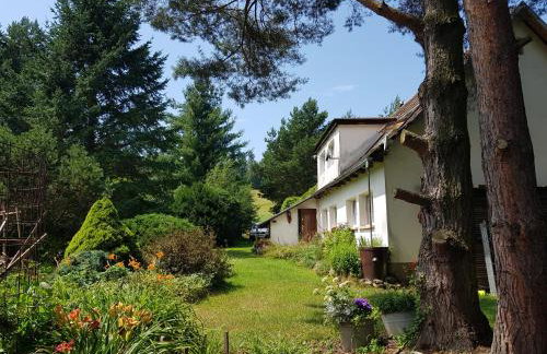 Na Piotrowickiej Przełęczy - Foto 1