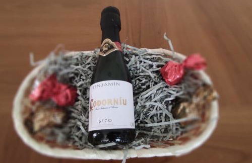 ECO-MANOLITA - Foto 17