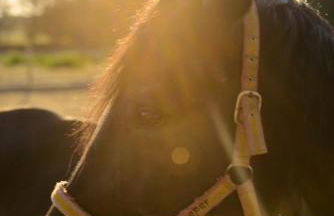 Villetta nel cuore del Salento - Foto 12