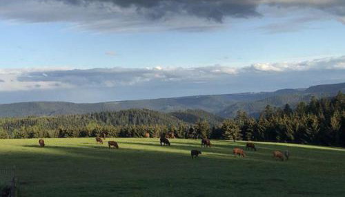 Äckerhof - Foto 4