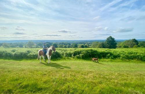 Croft Lodge Studio - Foto 24