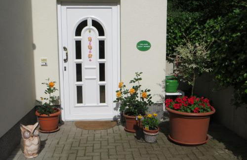 Weisses-Haus-am-Kurpark-Fewo-Waldblick - Foto 8