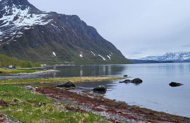 10 Person Holiday Home in Reinfjord-by Traum - Foto 15