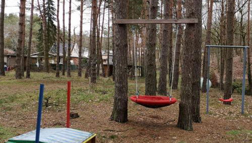 Ferienhaus Waldhütte Ferch - Foto 5, Garden view