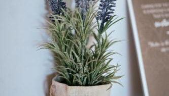 Casas da Li - Foto 2