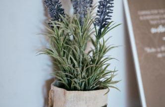 Casas da Li - Foto 2