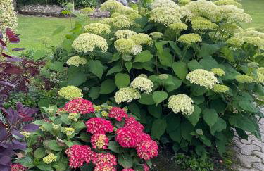 Haus Am Damm - Foto 30