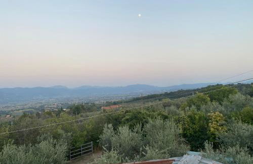 Agriturismo Casa Orsini - Foto 43