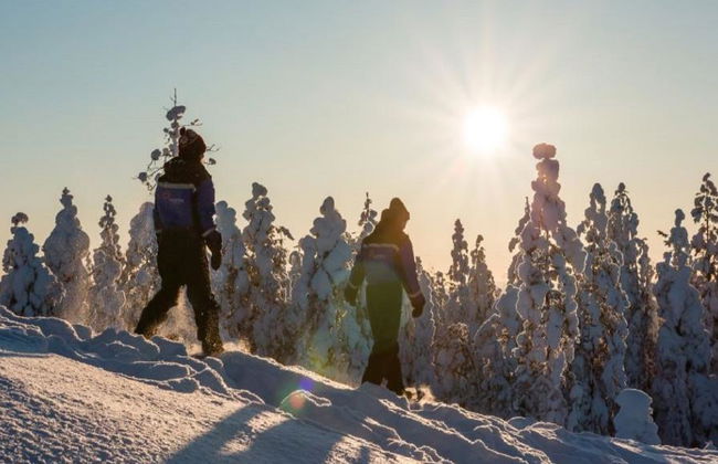 Delicias con Raquetas de Nieve - Desde Ylläs - Foto 3