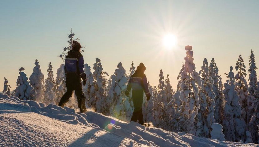 Delicias con Raquetas de Nieve - Desde Ylläs - Foto 3