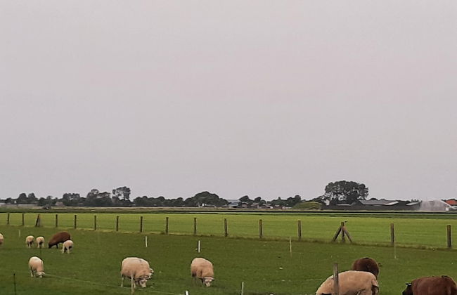 Stylish Holiday Home by the sea - Foto 32