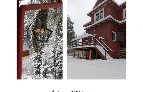 Willa Witówka - Foto 25