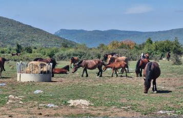 Haus Martha - Foto 26