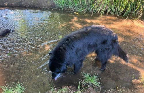 Romantikurlaub im Weindorf Kiedrich - Foto 21