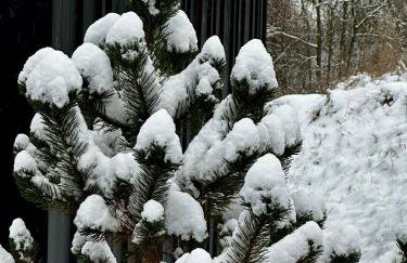 Black Deer - z Sauną na Tarasie, Jacuzzi i Widokiem na Góry - by Deer Hills Luxury Apartments - Foto 28