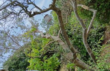 Le Mas du Ruisseau - Foto 73