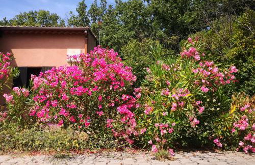 GÎTE DE L 'OCRE NICE VIEW - Foto 24