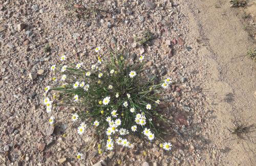 Ośrodek Wypoczynkowy Jaszczurka - Foto 50