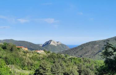 Agriturismo del Ponte "pomelo" - Foto 8