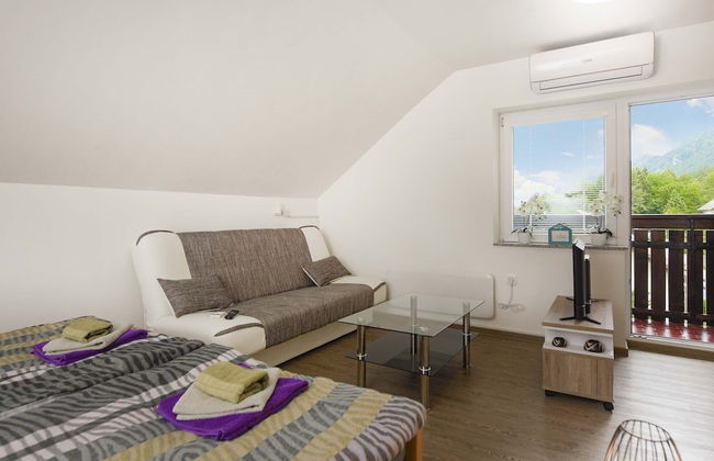 Apartments Rikli Rodine near Bled - Foto 11