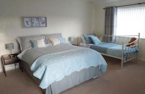 Trem Y Werydd - Photo 11