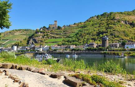 Roosartige Ferien - Ferienwohnung im Hanswieschen - Oberwesel Bacharach - Foto 32