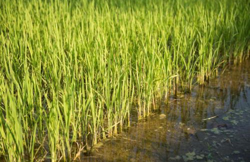 Agriturismo LeColombare - Photo 39