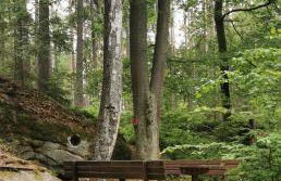 Apartment Apart Waldershof - Foto 19