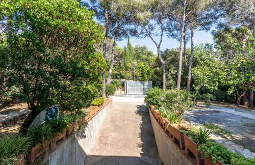 GuestHost - Quercianella Lovely Villa near the Sea With Parking! - Foto 28