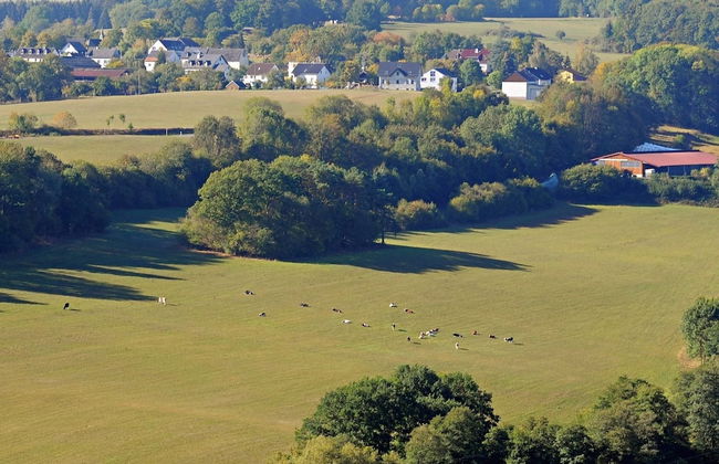 Chalet in Gerolstein Forest Holiday Park - Foto 22