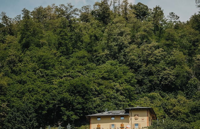 Coronata Haus - Photo 41