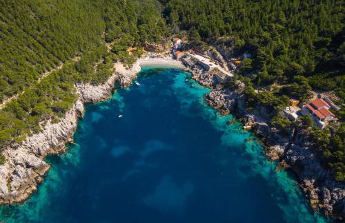 Apartmets Sutmiholjska - Foto 11