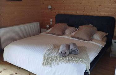 Dom Wakacyjny Brzozowy Gaj Bieszczady - Foto 40