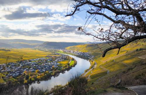 Garden Eden - Foto 23