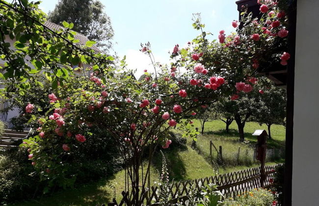 House Marina Modern Retreat - Foto 20