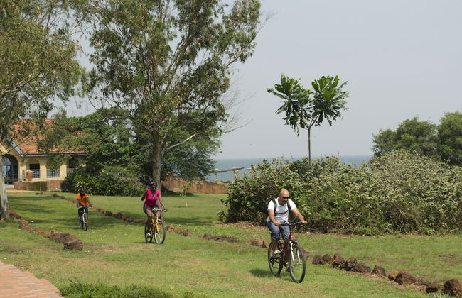 One Minute South - Photo 14