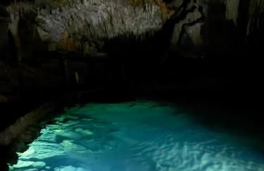 Casa Petar Betari - Foto 70