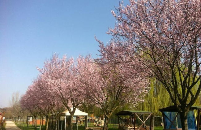 Agriturismo Tre Rondini - Foto 42